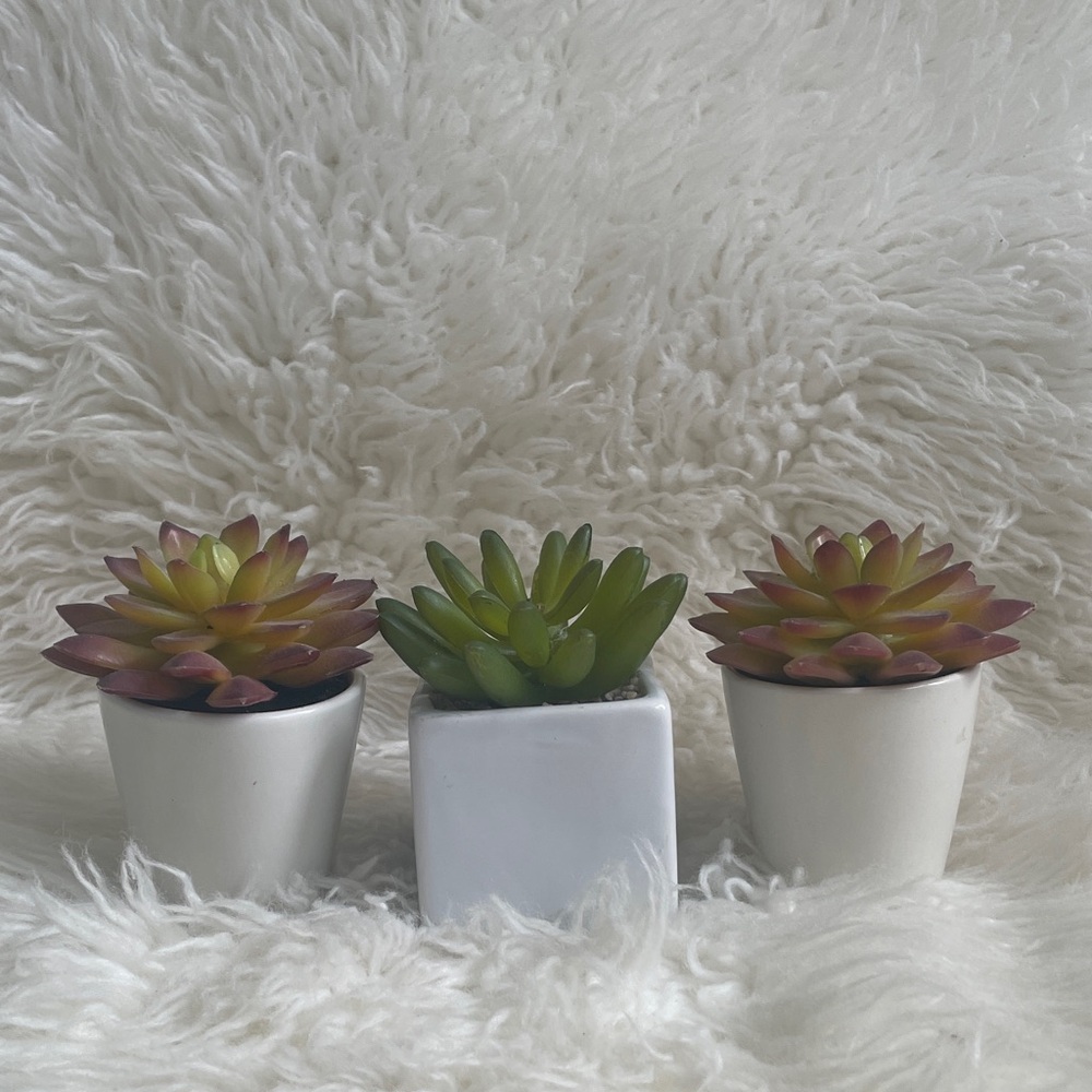 Small Fake Plants